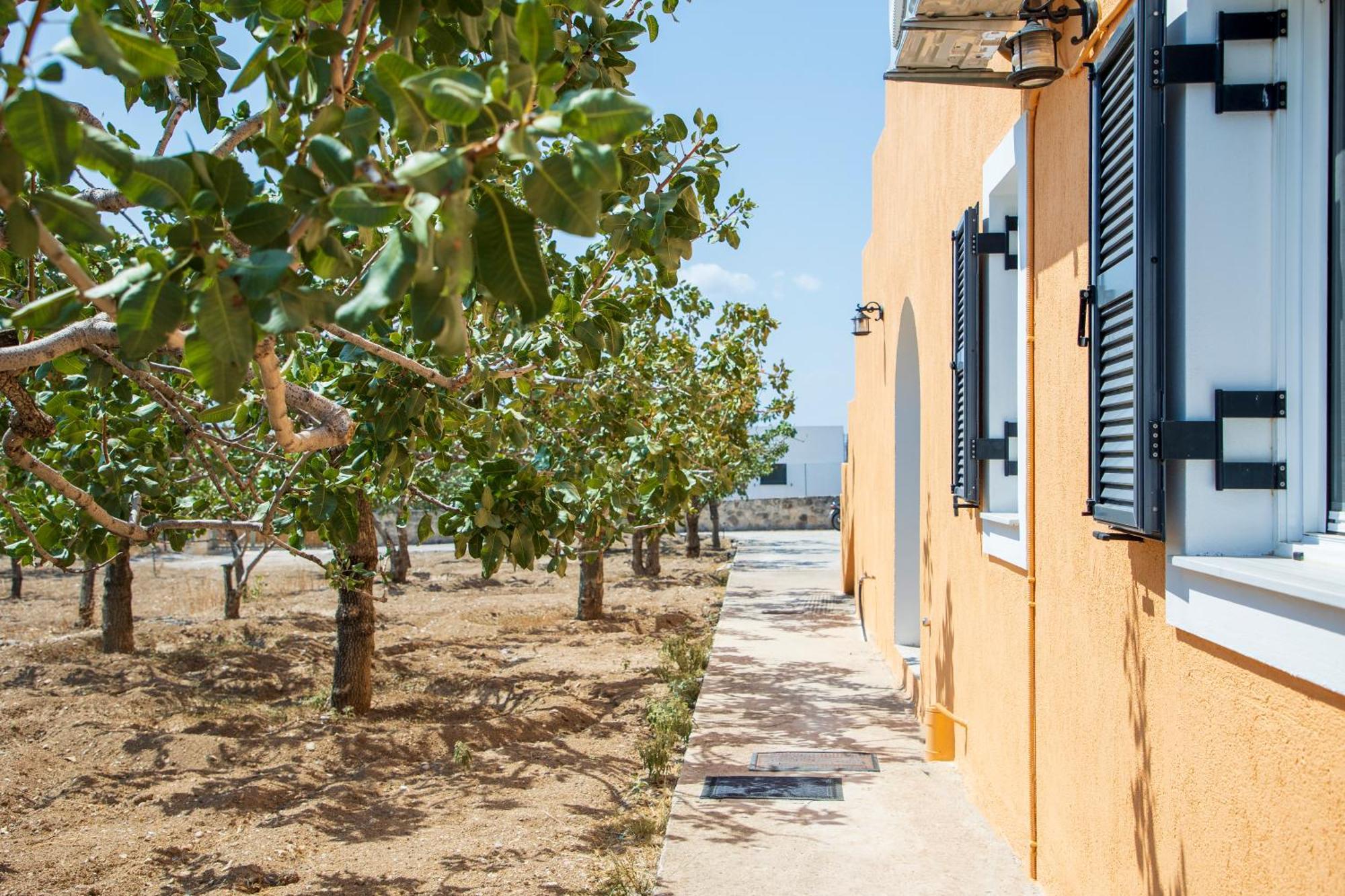 Villa Nick'S House Aegina Exterior foto